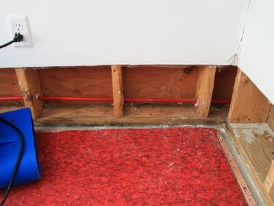 Professional attic mold remediation services in Los Angeles
